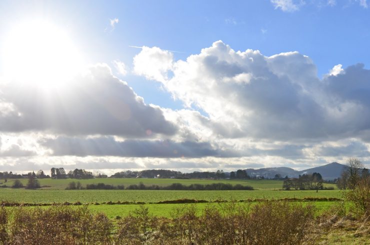 Außergewöhnlich sonniges Baugrundstück mit unverbaubarem Blick ins Grüne