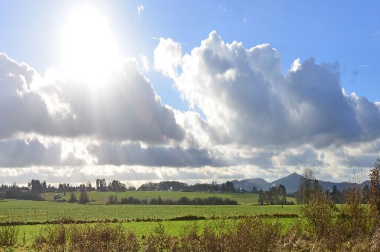 Außergewöhnlich sonniges Baugrundstück mit unverbaubarem Blick ins Grüne